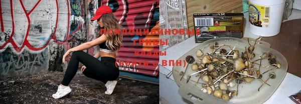 винт Алзамай