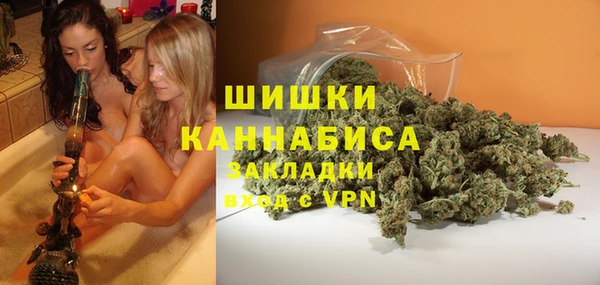 винт Алзамай
