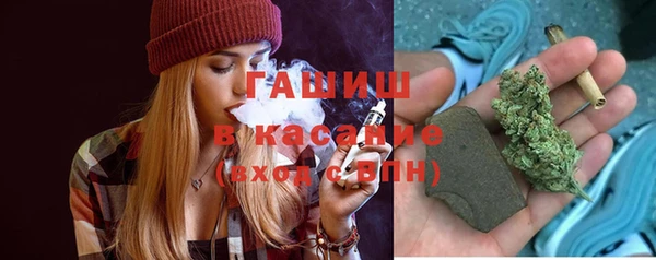 прущие грибы Пестово
